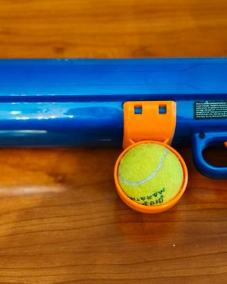 Nerf Dog