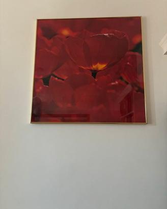 Quadro Fiori Rossi