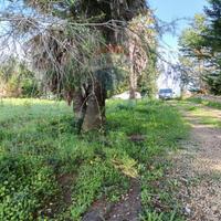 Terreno Edificabile - Caltagirone
