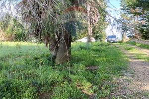 Terreno Edificabile - Caltagirone