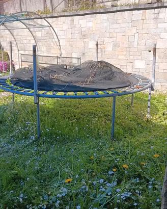 trampolino elastico