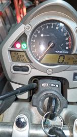 Honda Hornet - 2008