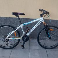 MTB rockrider24"