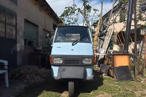 Ape 50