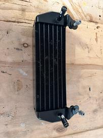 Radiatore BMW R1200GS