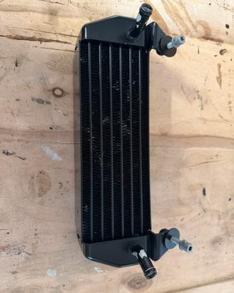 Radiatore BMW R1200GS