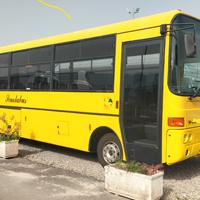 Iveco Scuolabus