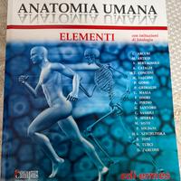 Anatomia umana