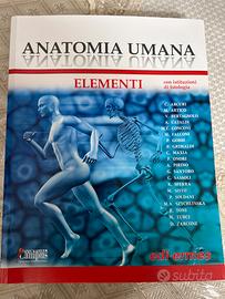 Anatomia umana