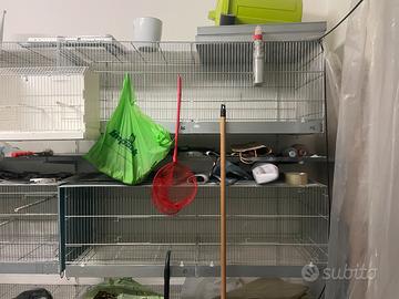 Gabbie voliere da 120