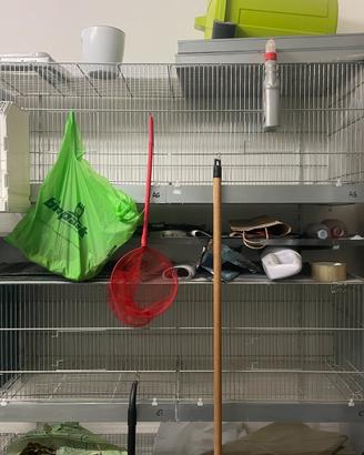 Gabbie voliere da 120