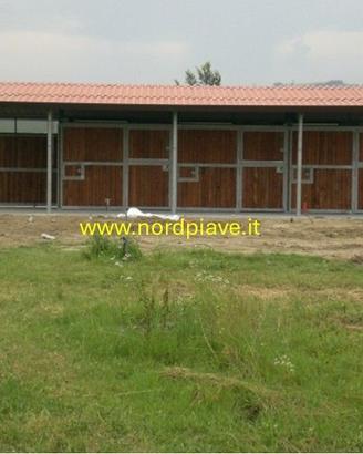 Box per cavalli Nord Piave