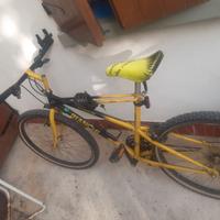 Bicicletta