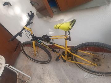 Bicicletta