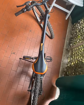 Mountain bike