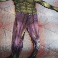 Costume carnevale Hulk
