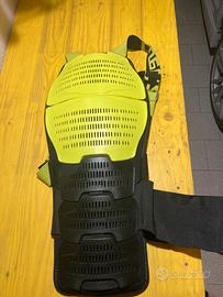 Paraschiena snowboard