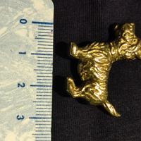 cagnetto da scrivania 