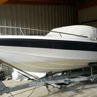 Tullio Abbate Sea Star