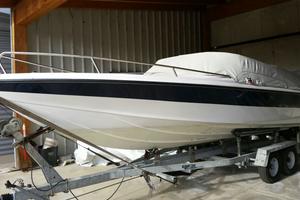 Tullio Abbate Sea Star