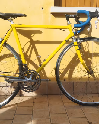 Pinarello Stelvio Acciaio  Dedacciai/Kens 18MCDV6