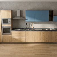 CUCINA MODERNA DI ALTA QUALITA' LINEARE DI DESIGN