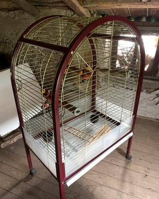 Gabbia per pappagalli
