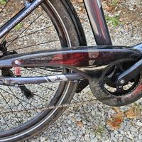 Bici elettrica da passeggio