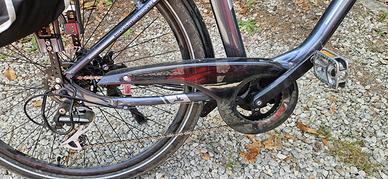 Bici elettrica da passeggio