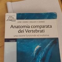 libri universitari 