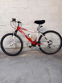 Mountain bike Vicini 26