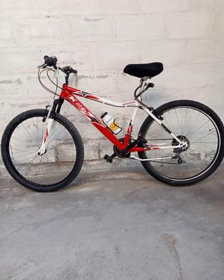 Mountain bike Vicini 26
