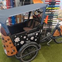 Cargo bike Babboe Curve/Go Mountain usata