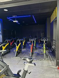Body bike