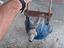 Immagine 1