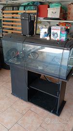 ACQUARIO