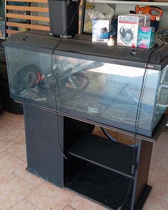 ACQUARIO