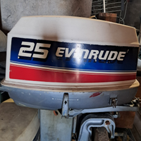 Evinrude 521