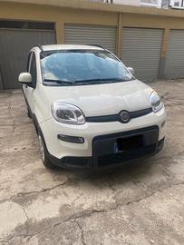 Panda hybrid 1.0