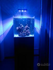 Acquario marino completo