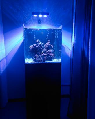 Acquario marino completo