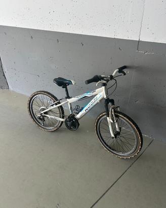 bicicletta da mountain bike