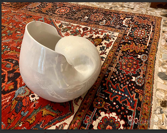 NAUTILUSmonumentaleSCULTURA"CONCHIGLIA"ceramicaXX°