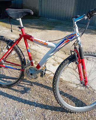bici mountain bike