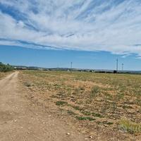 R.EMILIA Azienda agricola a seminativo irriguo