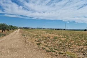 R.EMILIA Azienda agricola a seminativo irriguo
