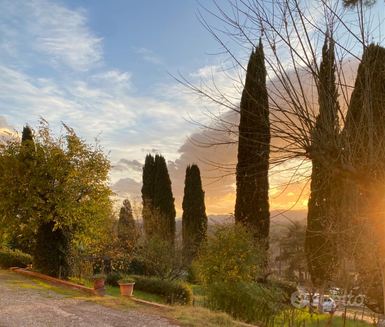 Appartamento in condominio - Peccioli - Vista 5