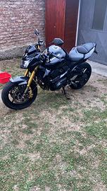 Dispongo