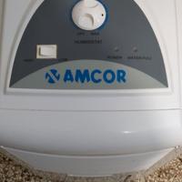 deumidificatore elettrico 