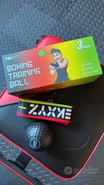 Boxe training ball